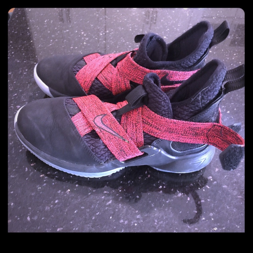 Nike LeBron James Basketball shoes